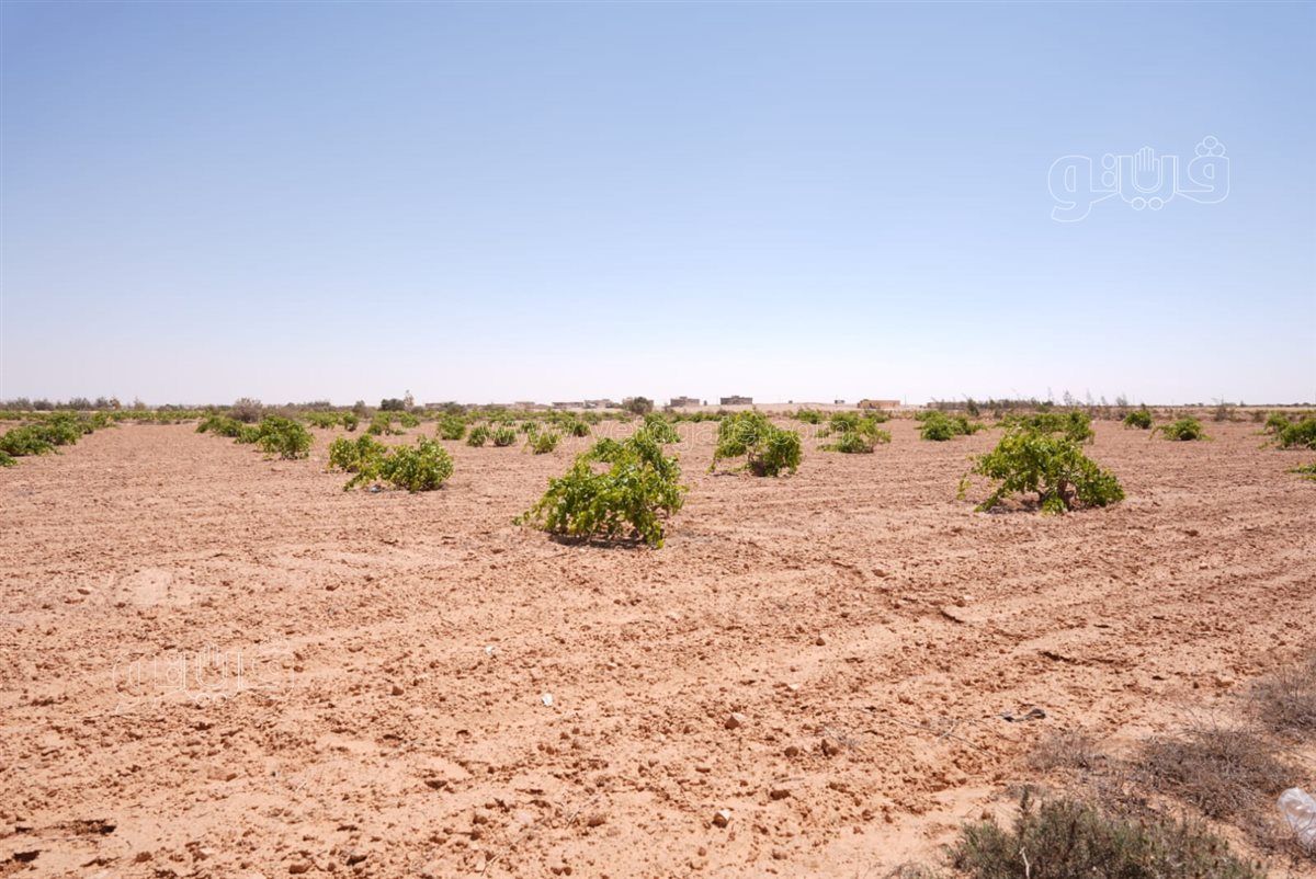 ab6b351930.jpg