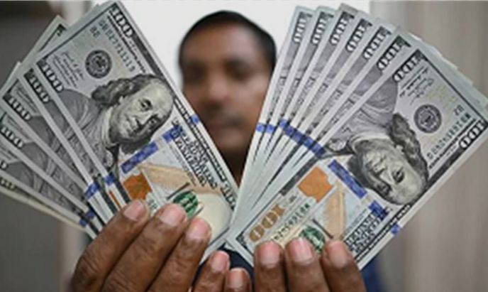 تراجع سعر الدولار مقابل الجنيه، فيتو