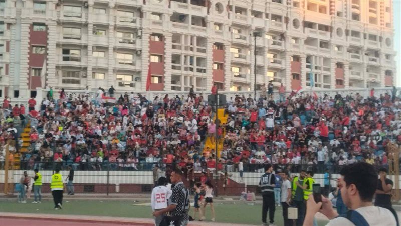 استاد الإسكندرية
