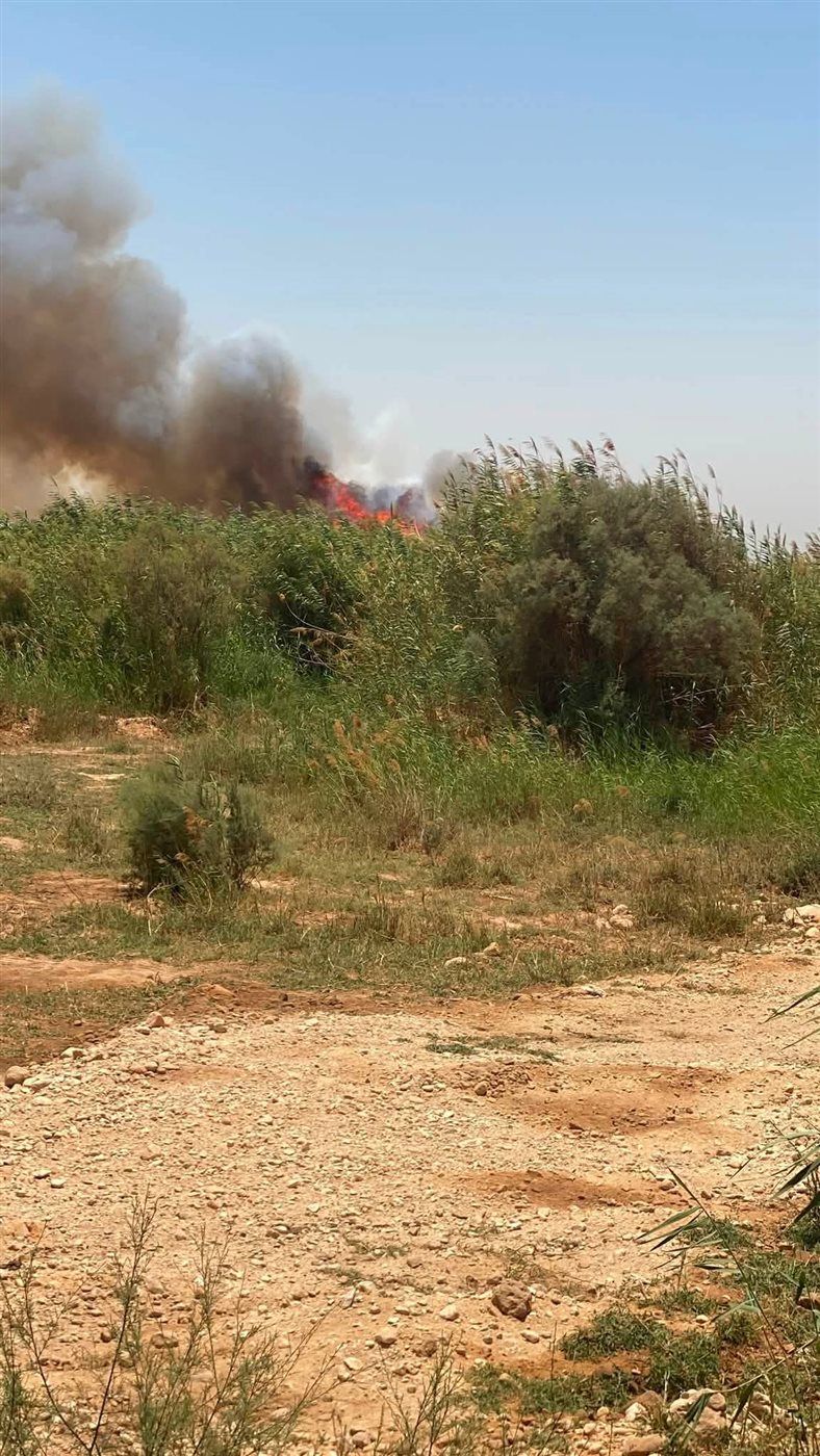 5b1a6afcf7.jpg