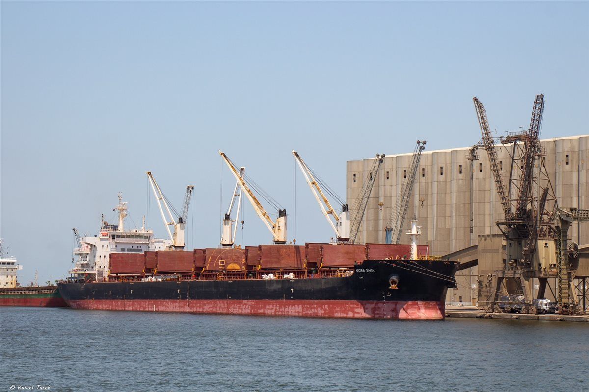 619acd7d57.jpg