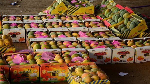 أسعار المانجو اليوم، دبشة وسنارة وبيض العجل بـ 35 جنيها والفص تقفز إلى 120 جنيها