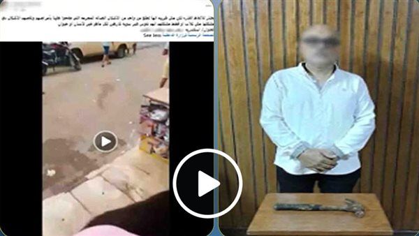 بسبب الكلاب الضالة، مطرقة حديدية تشعل أزمة أمام محل بالإسكندرية