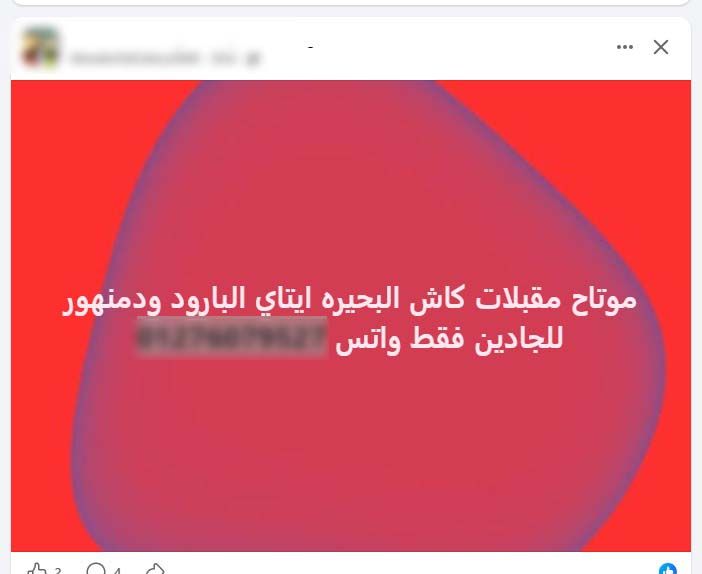 “تحويل الفلوس مقدما علي فودافون كاش”، عملية نصب إلكترونية على راغبي ممارسة الدعارة، فيتو