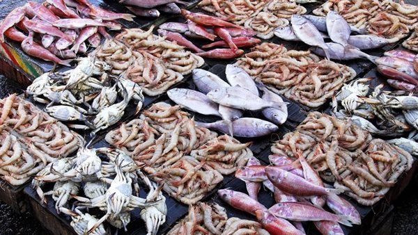 أسعار السمك اليوم، انخفاض كبير في البلطي والمكرونة قفزة جديدة في الجمبري الممتاز