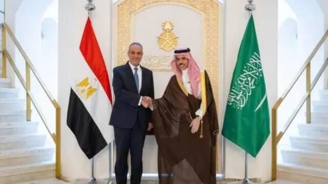 وزيرا خارجية السعودية ومصر يبحثان مستجدات المنطقة وتعزيز الاستقرار