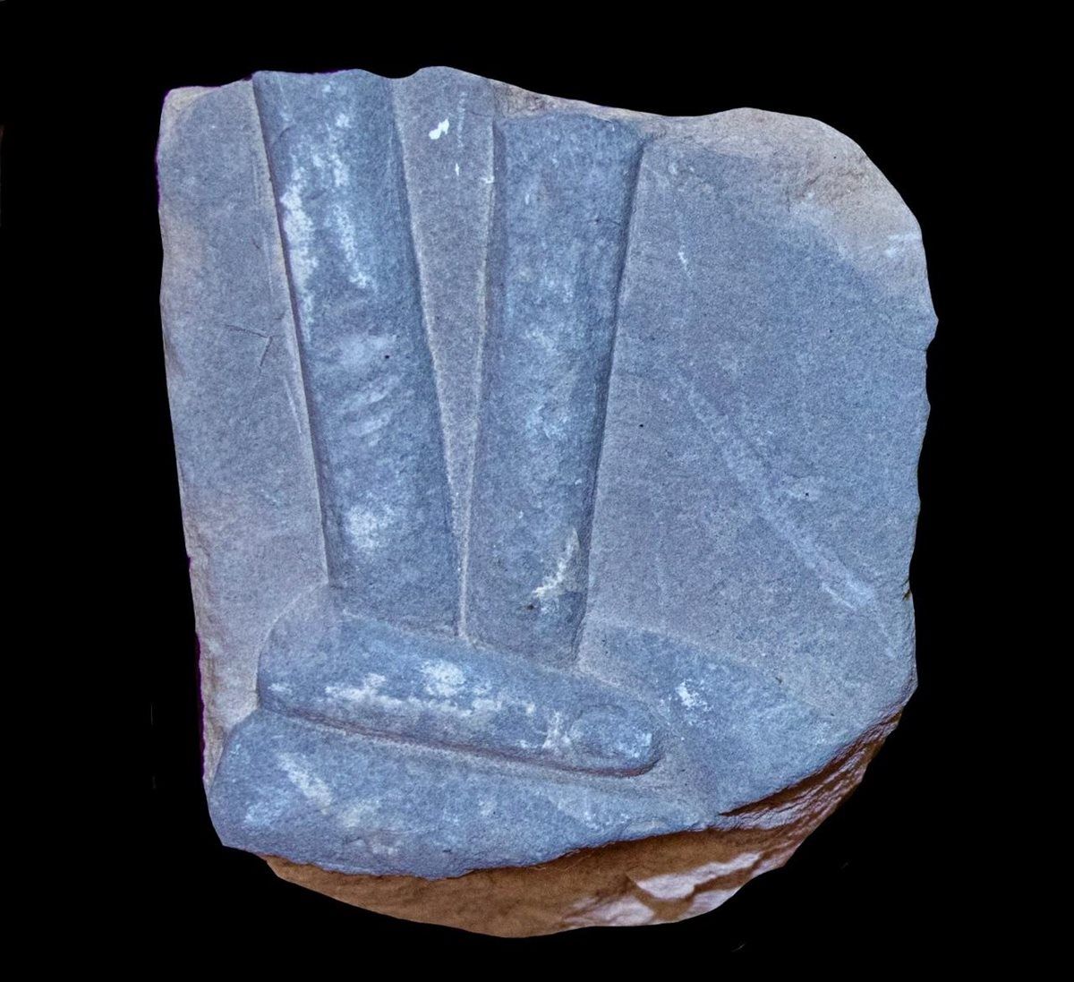09e0f71735.jpg