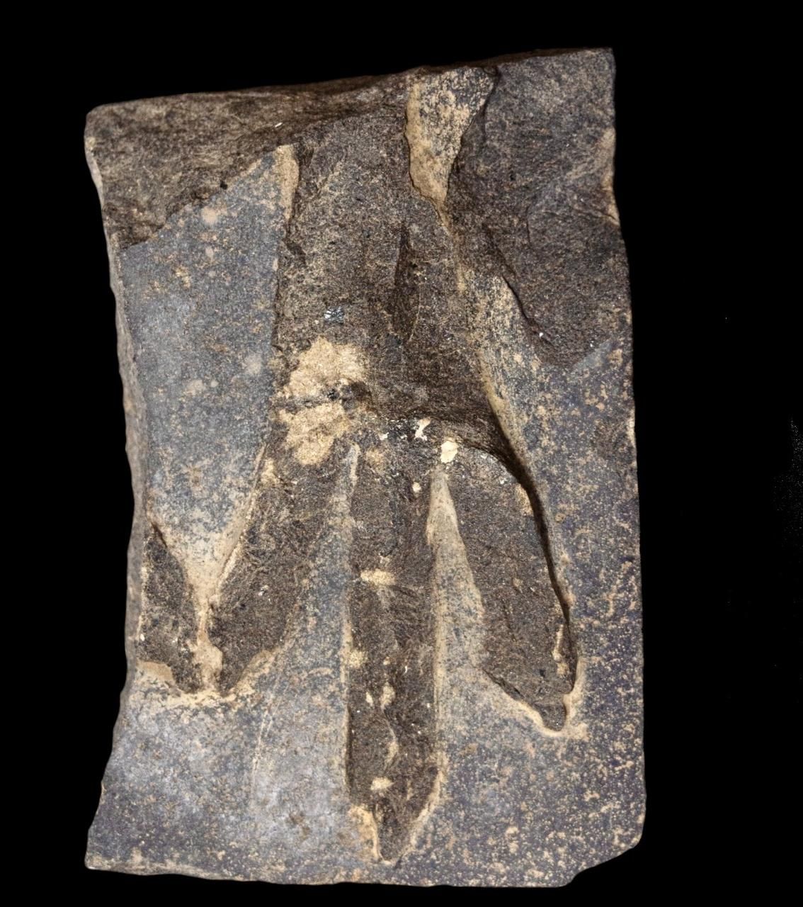a9764e0c2f.jpg