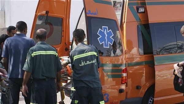 إصابة 3 أشخاص في انقلاب سيارة ملاكي بأرض زراعية أمام "شيوة" بالدقهلية