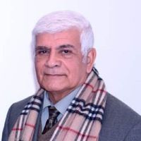 القطط السمان الجديدة!