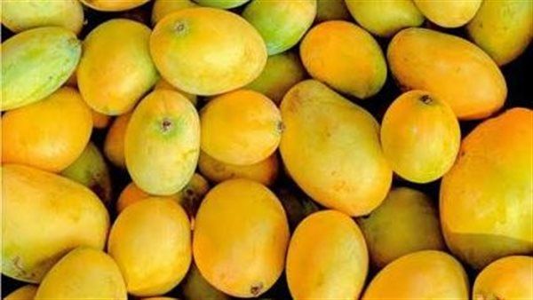 تفسير رؤية المانجو الصفراء في المنام وعلاقتها بتحسن الأحوال الإقتصادية