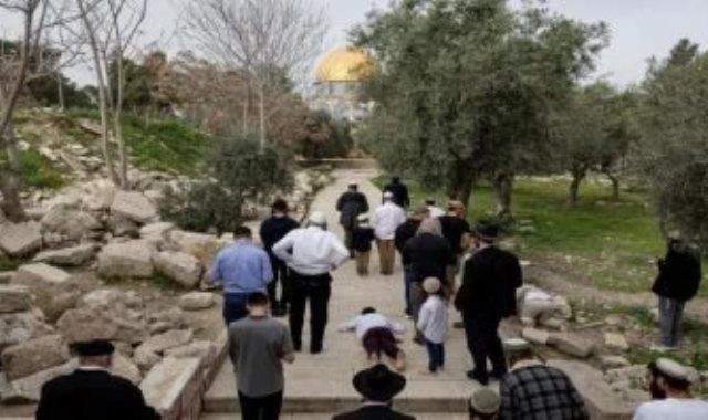120 مستوطنًا يقتحمون المسجد الأقصى بحماية قوات الاحتلال