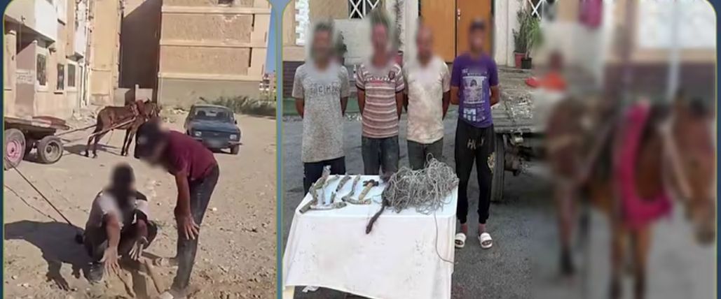 ضبط المتهمين 
