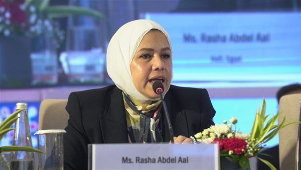 مصر تقدم خبراتها الضريبية لدول «البريكس».. تفاصيل ما جرى في نيودلهي