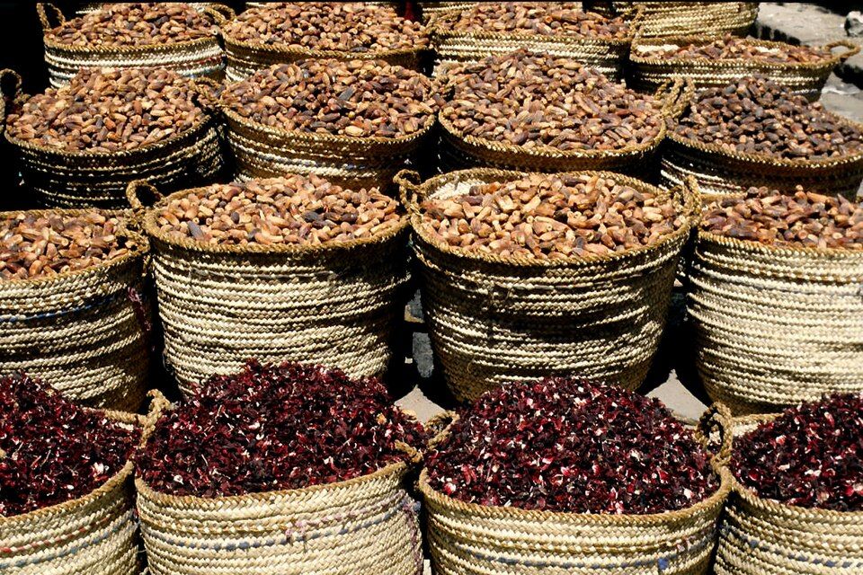 شعبة الفاكهة: انخفاضات تصل لـ 50% في أسعار البلح والتمور