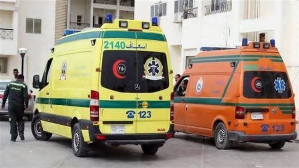 «هخلعك يعنى هخلعك»، زوج ينهي حياة زوجته بعدة طعنات في عين شمس