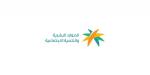 الموارد البشرية والتنمية الاجتماعية تنفّذ أكثر من 250 ألف زيارة رقابية خلال الربع الأول من 2026