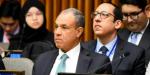 وزير الخارجية يشارك فى الاجتماع الوزارى للتحالف العالمى لتنفيذ حل الدولتين