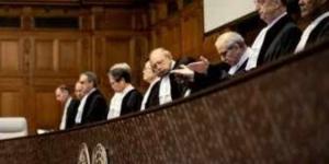 ممثل جنوب أفريقيا بمحكمة العدل: نرحب بانضمام مصر فى الدعوى ضد إسرائيل