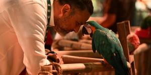 إطلاق «غابة العجائب».. 
إحدى مناطق موسم جدة الترفيهية