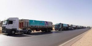 مصر..
      التحالف
      الوطني:
      جاهزون
      لاستئناف
      قوافل
      الدعم
      إلى
      غزة
      فور
      فتح
      المعابر