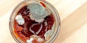 تحذير صحي: لا تستخدم معجون الطماطم بعد إزالة العفن