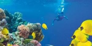 تضاهى المالديف وسيشل.. «ديلى ميل» تتغنى بمناخ مصر فى فبراير ومارس