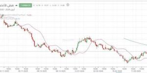 تداولات نشطة تدفع سهم "هرفي" لمحاولة كسر الاتجاه الهابط