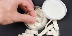 د. فهد العتيبي: أكياس النيكوتين سبباً مباشراً للعديد من المشاكل الصحية