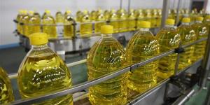 ارتفاع عباد الشمس 6 جنيهات، أسعار الزيت اليوم الخميس 18 يونيو 2026
