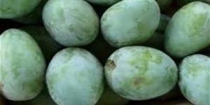 تفسير رؤية المانجو الخضراء في المنام وعلاقتها بتحسن الأوضاع المالية