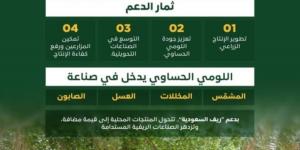 «اللومي الحساوي» موروث زراعي ينتجه مزارعو الأحساء ويغذي الأسواق بالمنطقة