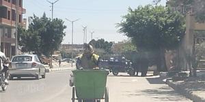 لقمة العيش الحلال، عمال النظافة بالإسماعيلية يعملون تحت درجة حرارة تتجاوز الـ40 (صور)