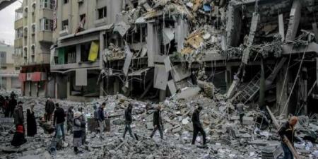 المنظمات
      الدولية
      تدعو
      لإتاحة
      الوصول
      العاجل
      إلى
      قطاع
      غزة
