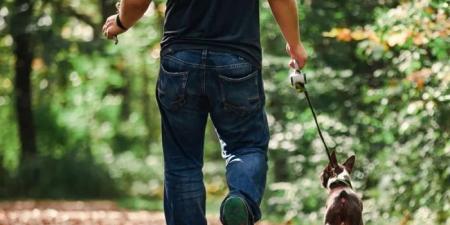 المشي 3000 خطوة يوميًا يبعدكم عن "تطور الزهايمر"