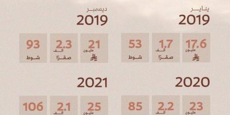 أكثر من 16 ألف صقر في 6 أعوام.. مهرجان الصقور يرسّخ مكانته 