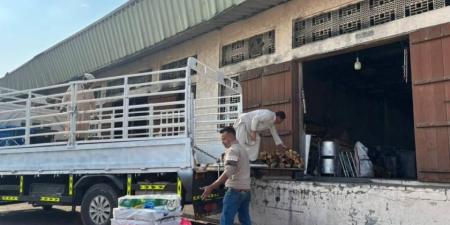 رحلات «البر» تزيد الإقبال على أسواق الحطب والفحم