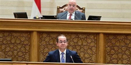وزير المالية: سنتقدم في القريب العاجل بتعديلات على قانون الضرائب