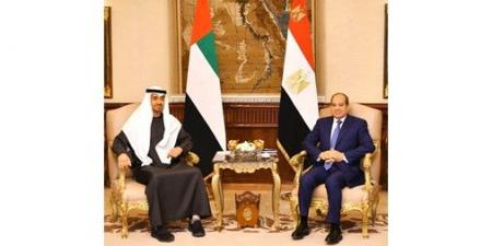 الرئيسان المصري والإماراتي يشددان على العمل من أجل تعزيز أسباب السلام والاستقرار