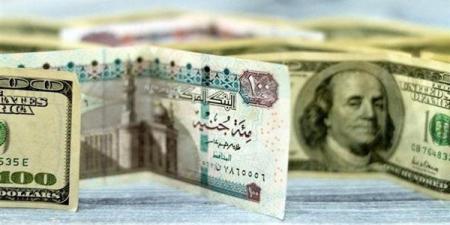 سعر صرف الدولار في البنك المركزي المصري والبنوك المصرية (آخر تحديث)