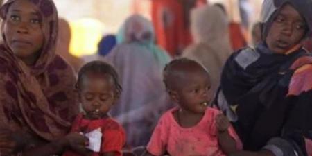 الفاو وبرنامج الأغذية يحذران: السودان ضمن أخطر بؤر الجوع عالميًا حتى 2026