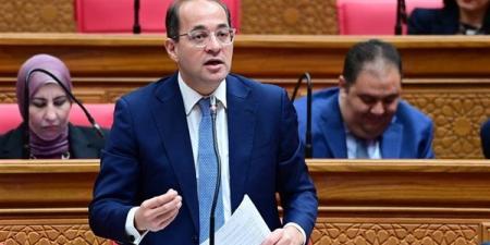 وزير المالية: النظام الضريبي الجديد يدعم الاستدامة المالية للتأمين الصحي دون المساس بحقوقه