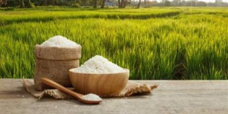 تعرف على سعر الأرز اليوم الخميس