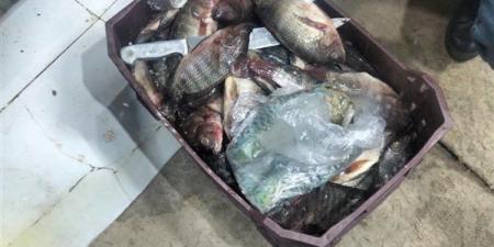 حملة مكبرة تضبط مخالفات غذائية وتجارية بالخارجة في الوادي الجديد