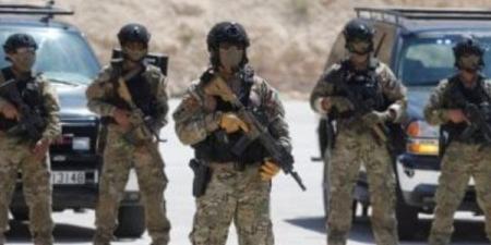 الجيش الأردني: اعتراض 4 مسيّرات دخلت أجواء المملكة