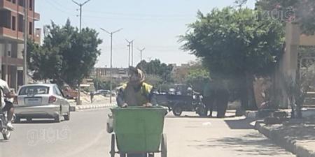 لقمة العيش الحلال، عمال النظافة بالإسماعيلية يعملون تحت درجة حرارة تتجاوز الـ40 (صور)