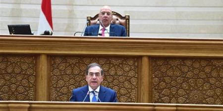 النواب يوافق على 4 مشروعات قوانين للبحث والتنقيب عن البترول والغاز