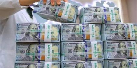 حصاد حملات الداخلية خلال 24 ساعة، ضبط 112 ألف مخالفة مرورية وقضابا تجارة عملة بـ4 ملايين جنيه