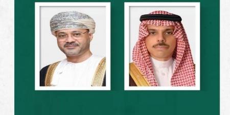 وزيرا خارجية السعودية وعُمان يؤكدان أهمية الدبلوماسية لضمان حرية الملاحة في هرمز