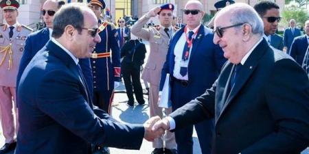 الرئيس الجزائري: نحن مع مصر بخندق واحد وهناك دويلة عربية لا يأتي منها إلا الخراب